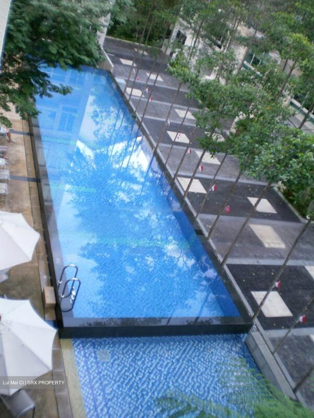 Le Reve (D14), Condominium #460662691
